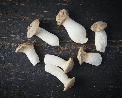 King Oyster Mushrooms