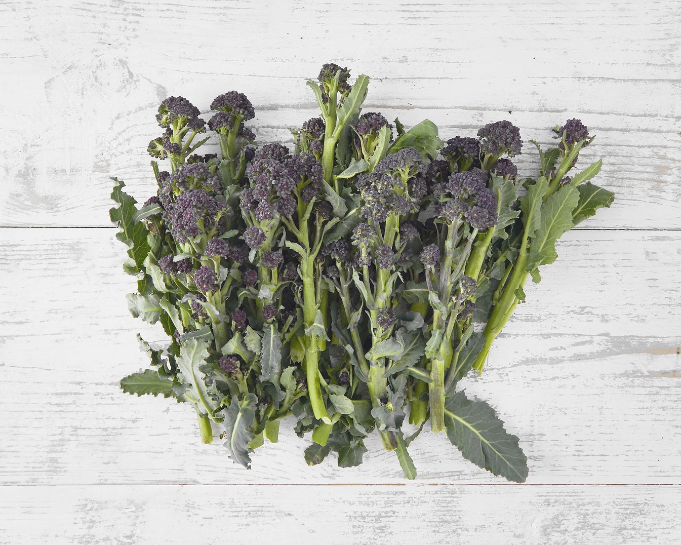 Purple Sprouting Broccoli
