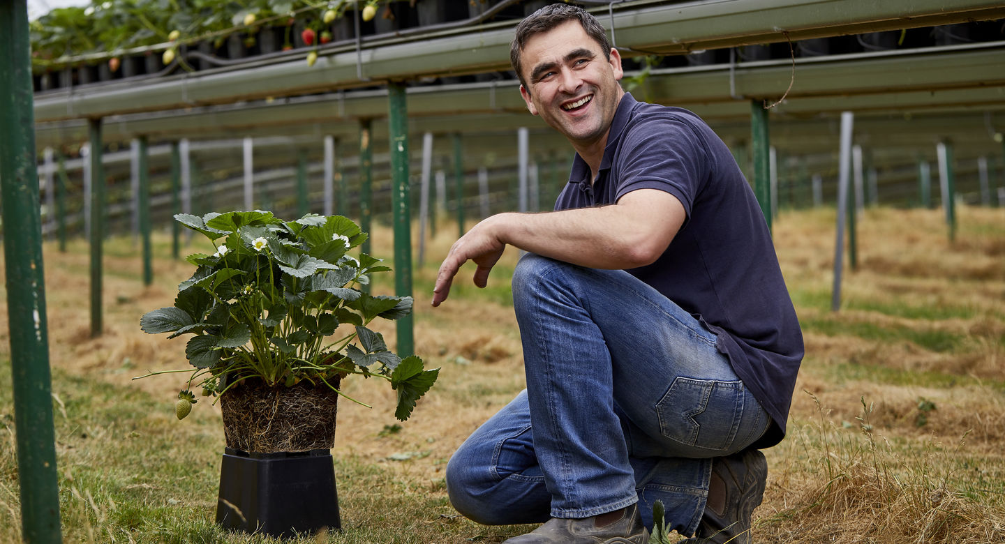 Man kneeling in a field holding a potted plant, with greenery and a fence in the background.